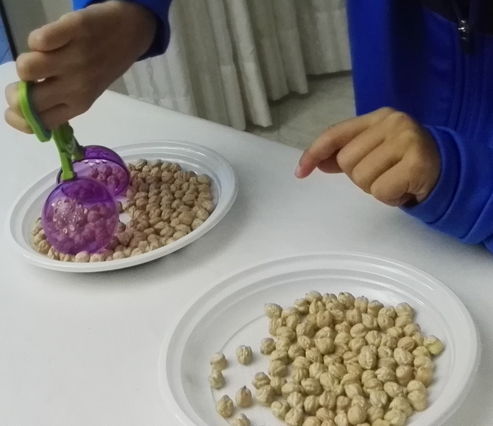 metodo di lavoro 5 metodo di lavoro 5